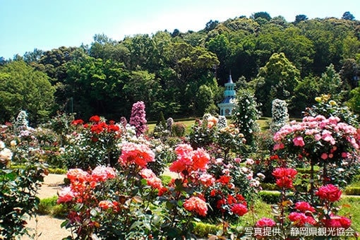 河津バガテル公園
